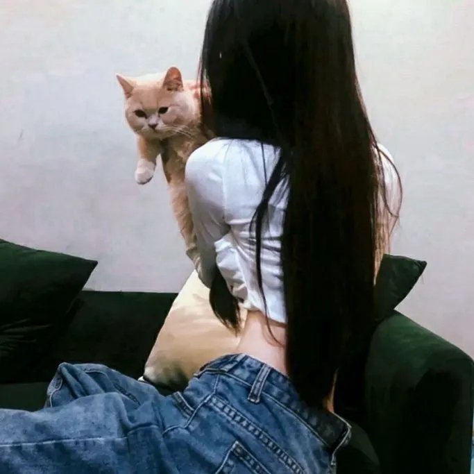 春满乾坤福满门 在线观看